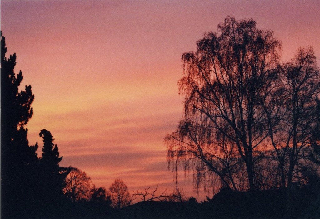 dez014.jpg 