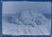 Thumbnail dscf4031_b.jpg 