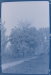 Thumbnail dscf4037_b.jpg 