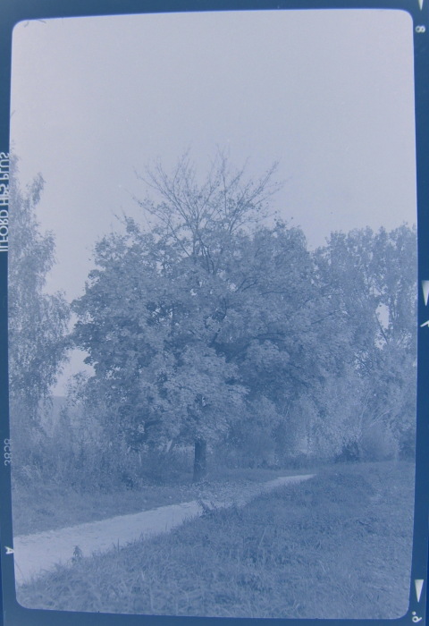 dscf4037_b.jpg 