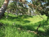 Thumbnail dscf4893.jpg 