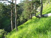 Thumbnail dscf4894.jpg 