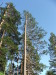 Thumbnail dscf4897.jpg 