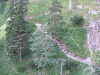 Thumbnail dscf4902.jpg 