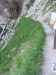 Thumbnail dscf4903.jpg 