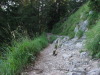 Thumbnail dscf4906.jpg 