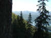 Thumbnail dscf4907.jpg 