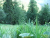 Thumbnail dscf4912.jpg 