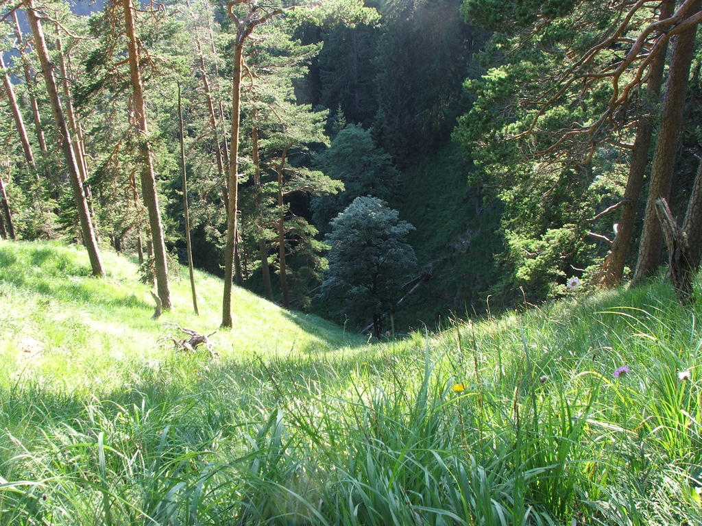 dscf4891.jpg 