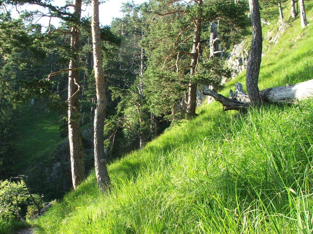 dscf4894.jpg 