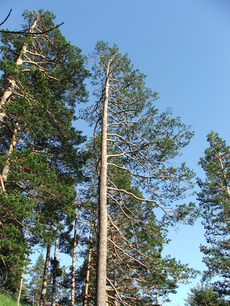 dscf4897.jpg 