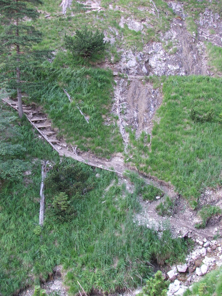 dscf4900.jpg 