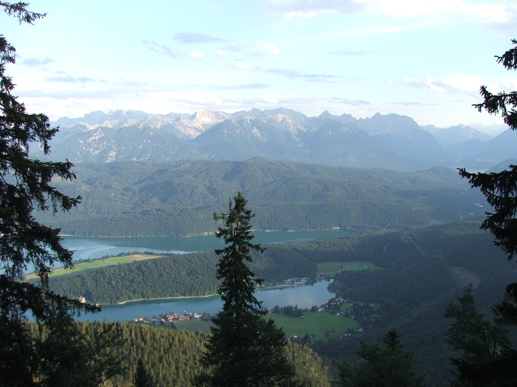 dscf4905.jpg 