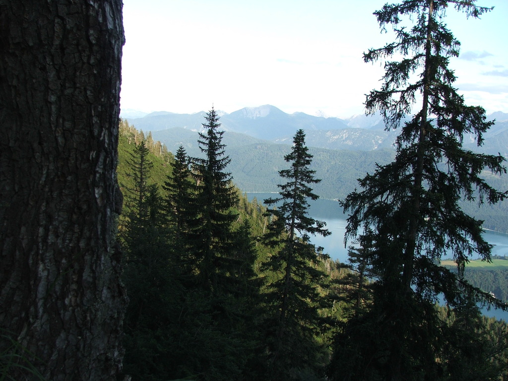 dscf4907.jpg 
