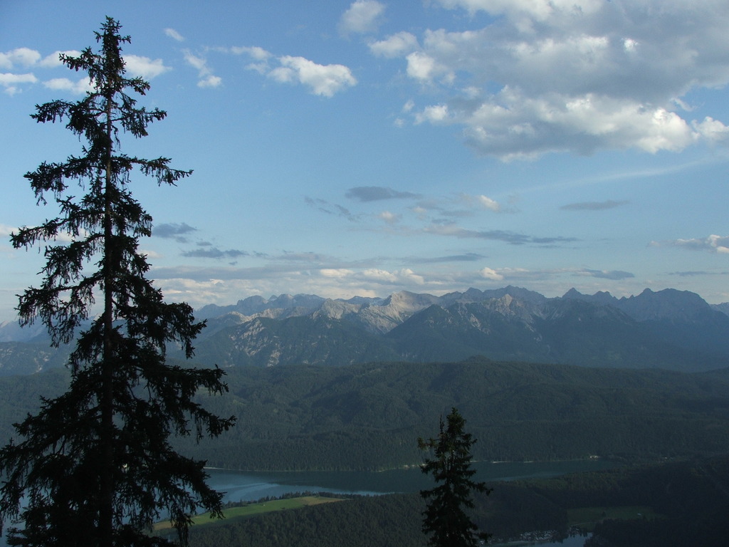 dscf4908.jpg 