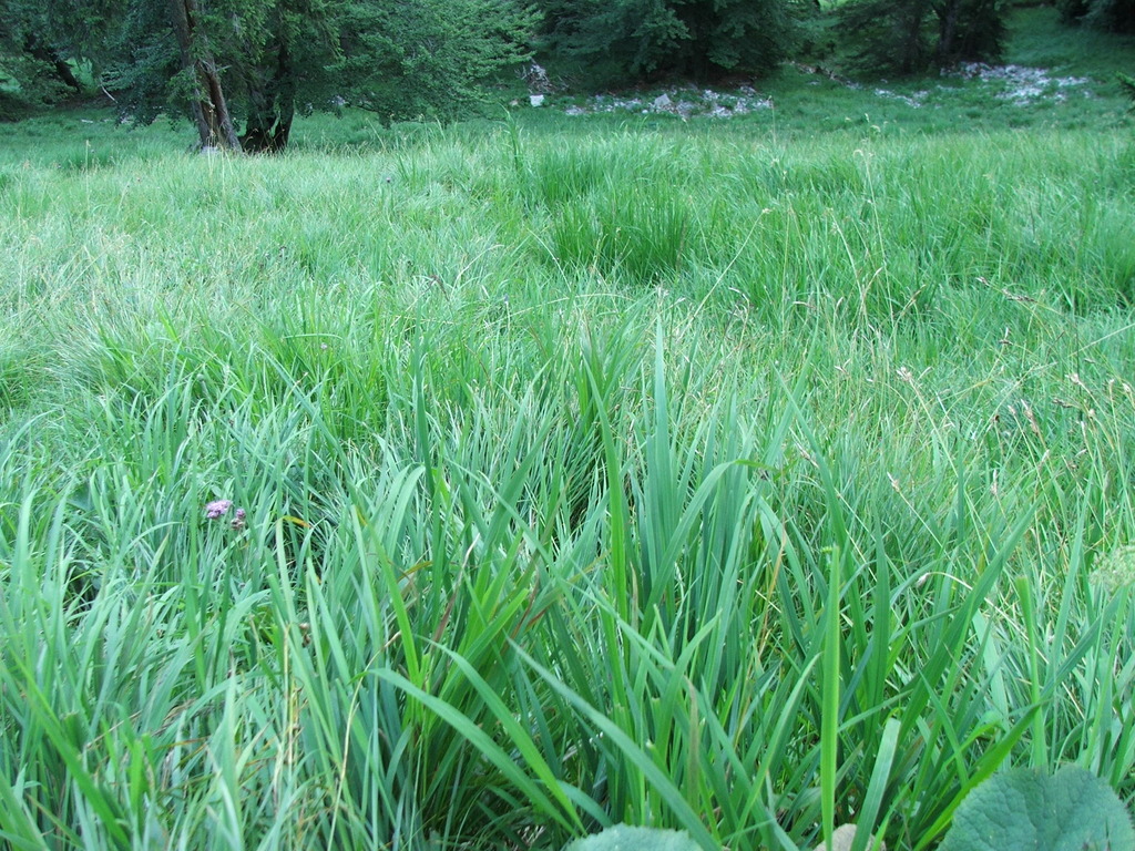 dscf4911.jpg 