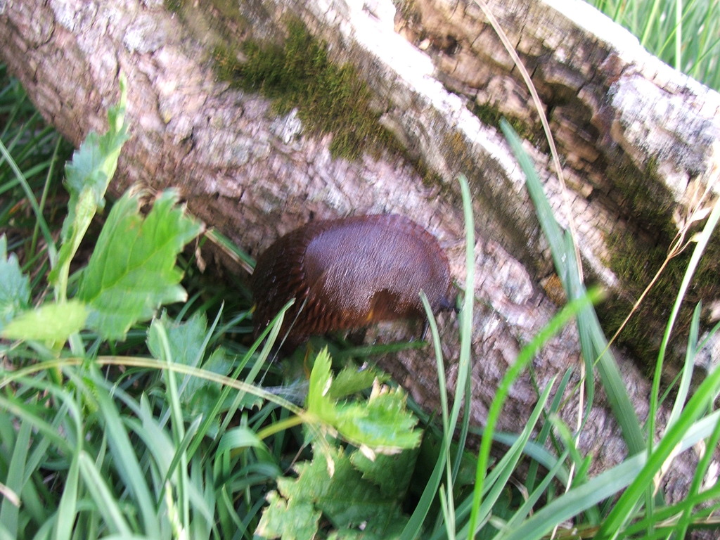 dscf4944.jpg 