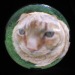 Thumbnail dscf4602.jpg 