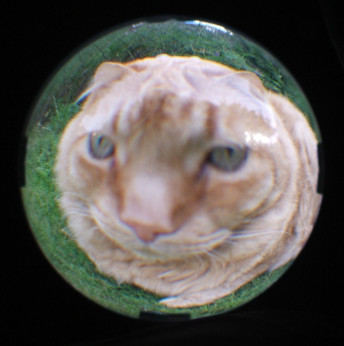 dscf4602.jpg 