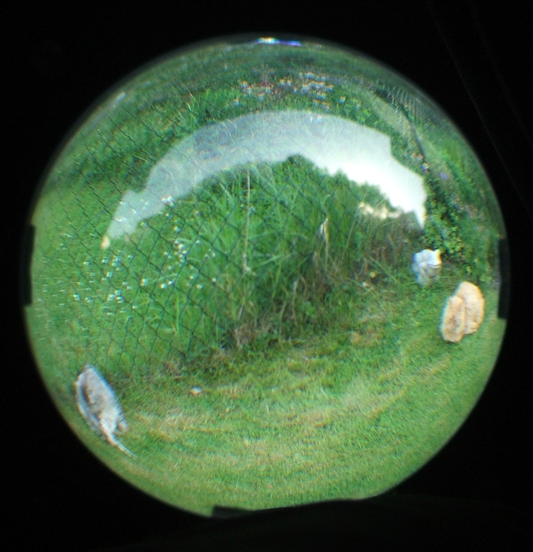 dscf4615.jpg 