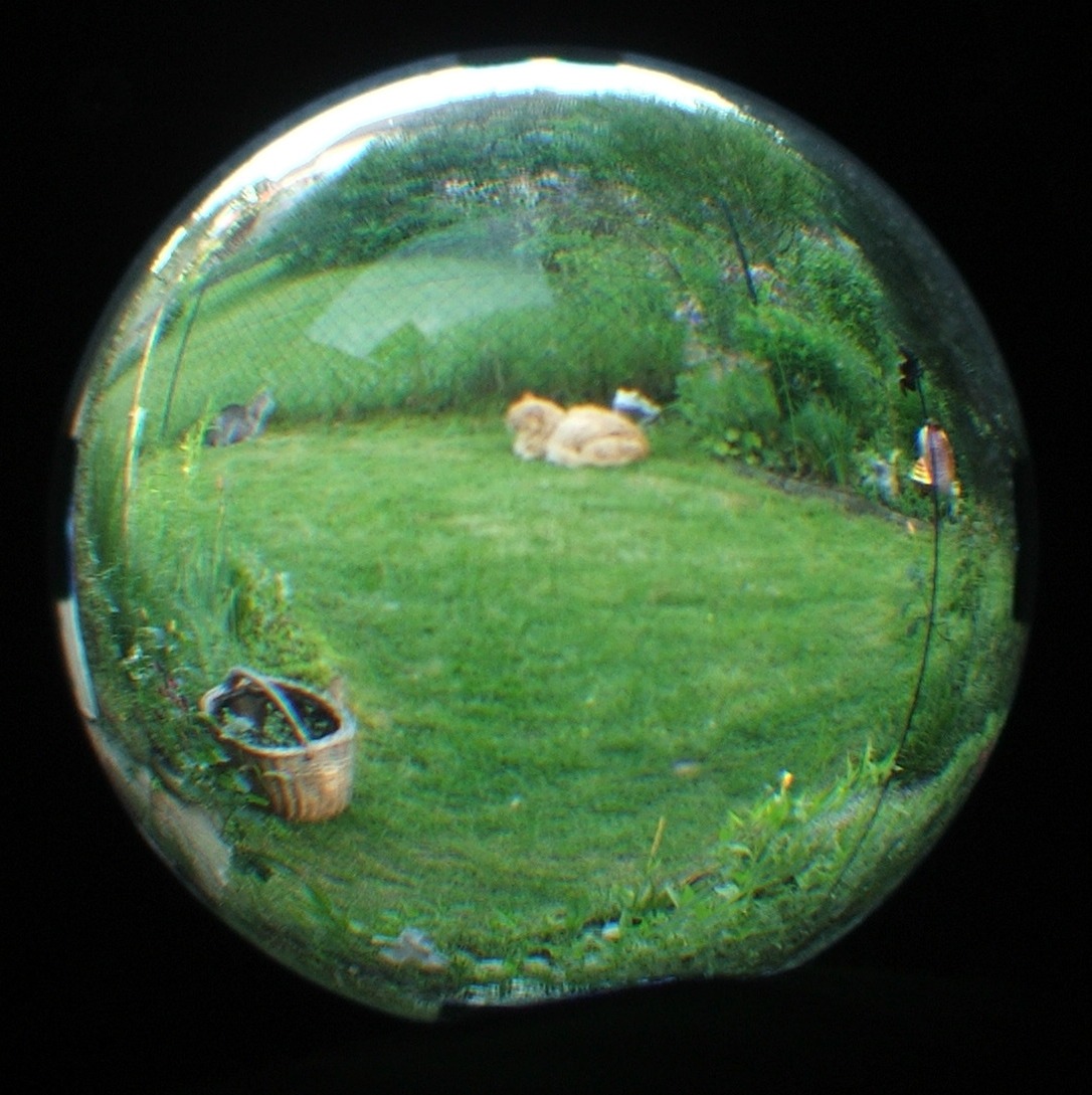 dscf4618.jpg 